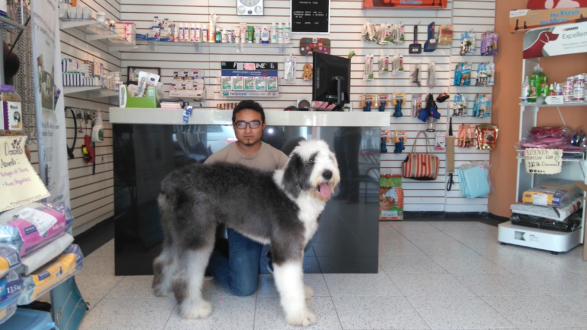 Hospital Veterinario Montejo — foto 4