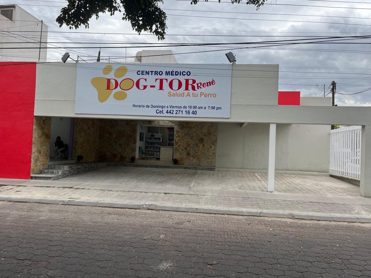Centro Médico Dog-tor Rene — foto 2