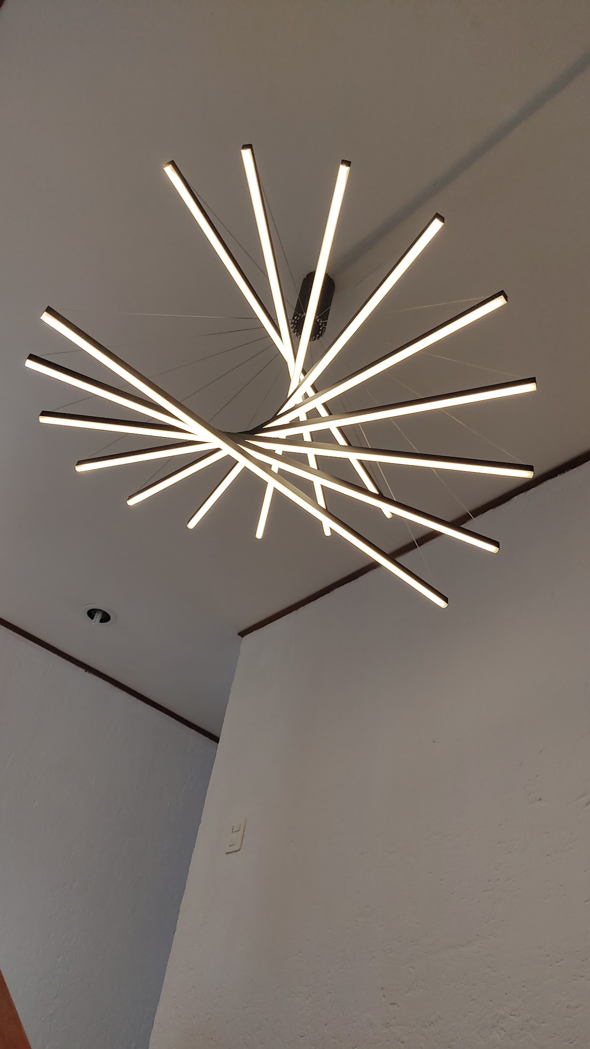 RUNA Electric — foto 4
