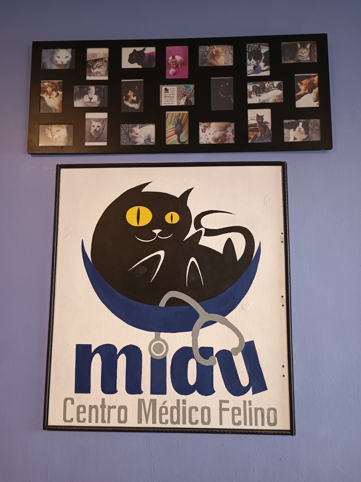 Miau centro médico felino — foto 2