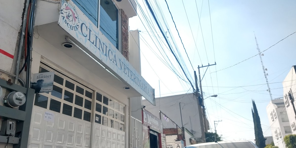 CLINICA - VETERINARIA MASCOTAS