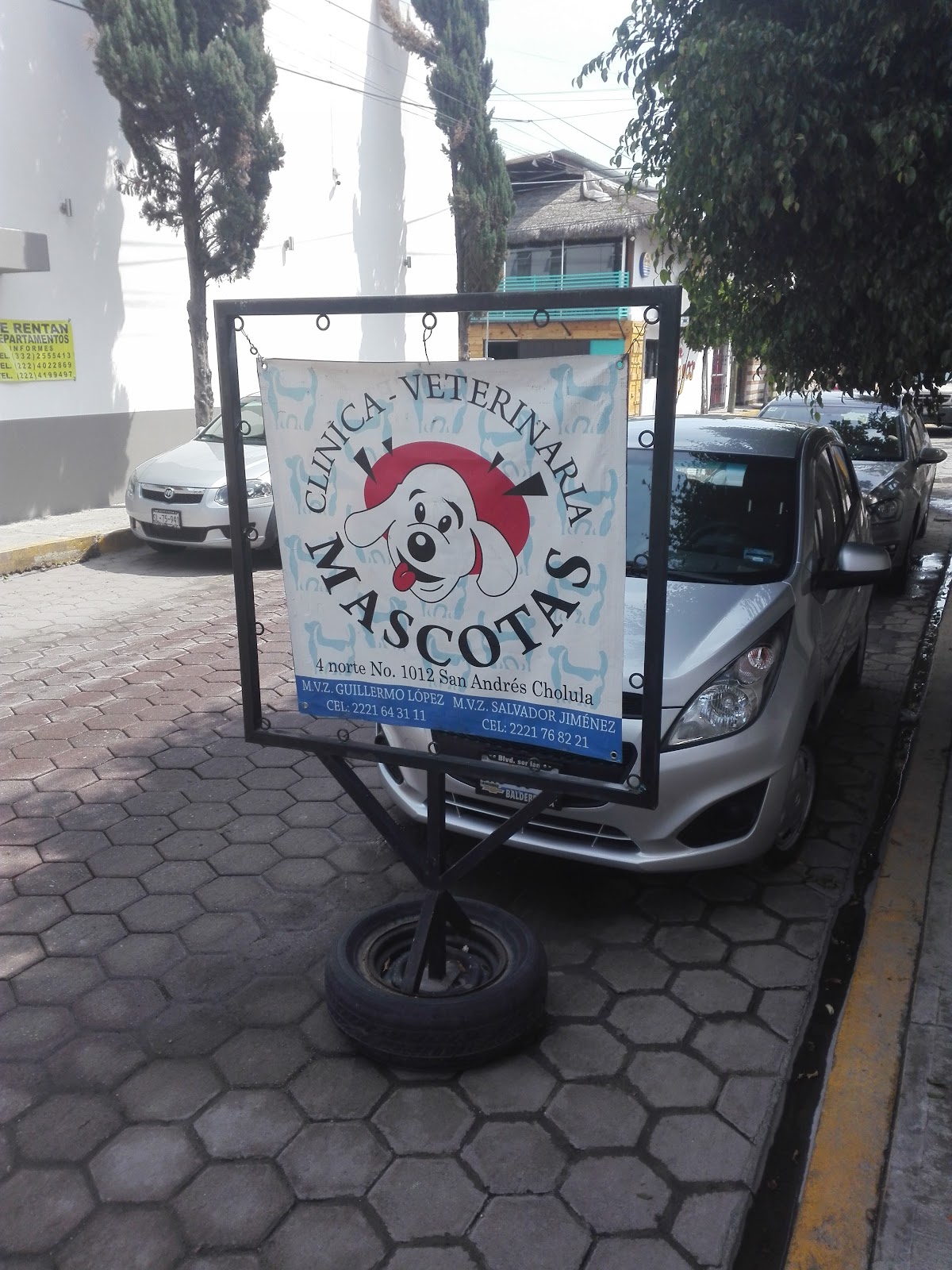 CLINICA - VETERINARIA MASCOTAS — foto 3