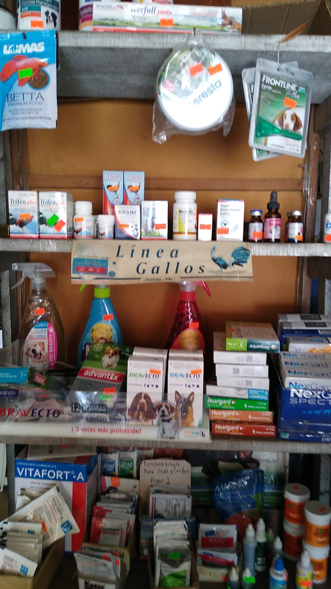 VETERINARIA LA HERRADURAP3 — foto 2