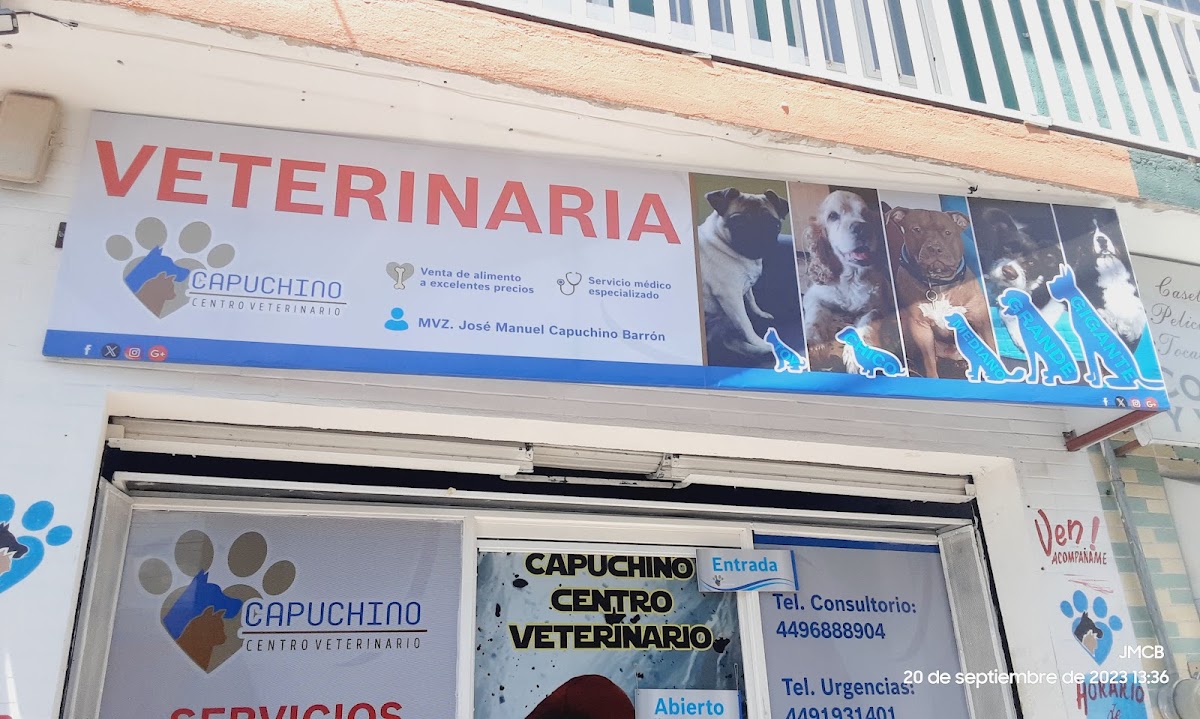 CAPUCHINO CENTRO VETERINARIO
