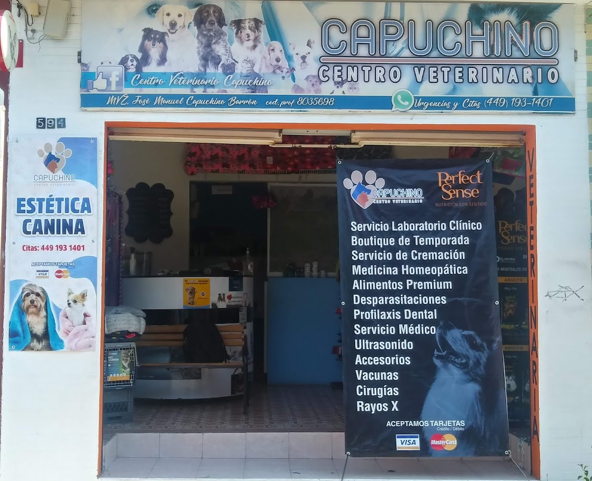 CAPUCHINO CENTRO VETERINARIO — foto 2