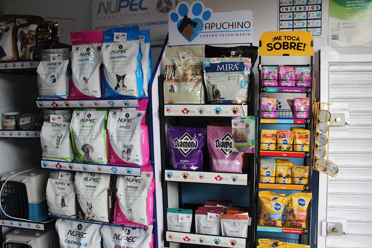 CAPUCHINO CENTRO VETERINARIO — foto 3