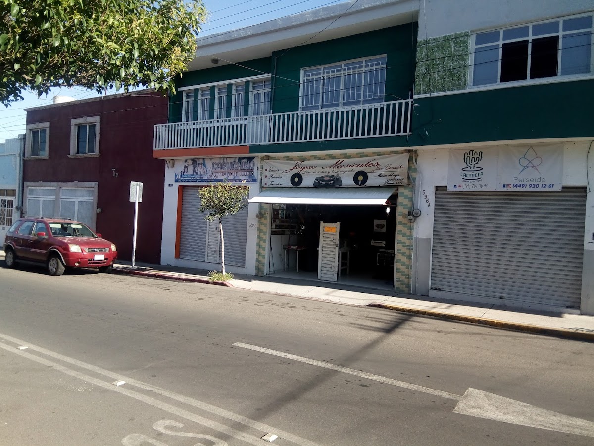CAPUCHINO CENTRO VETERINARIO — foto 4