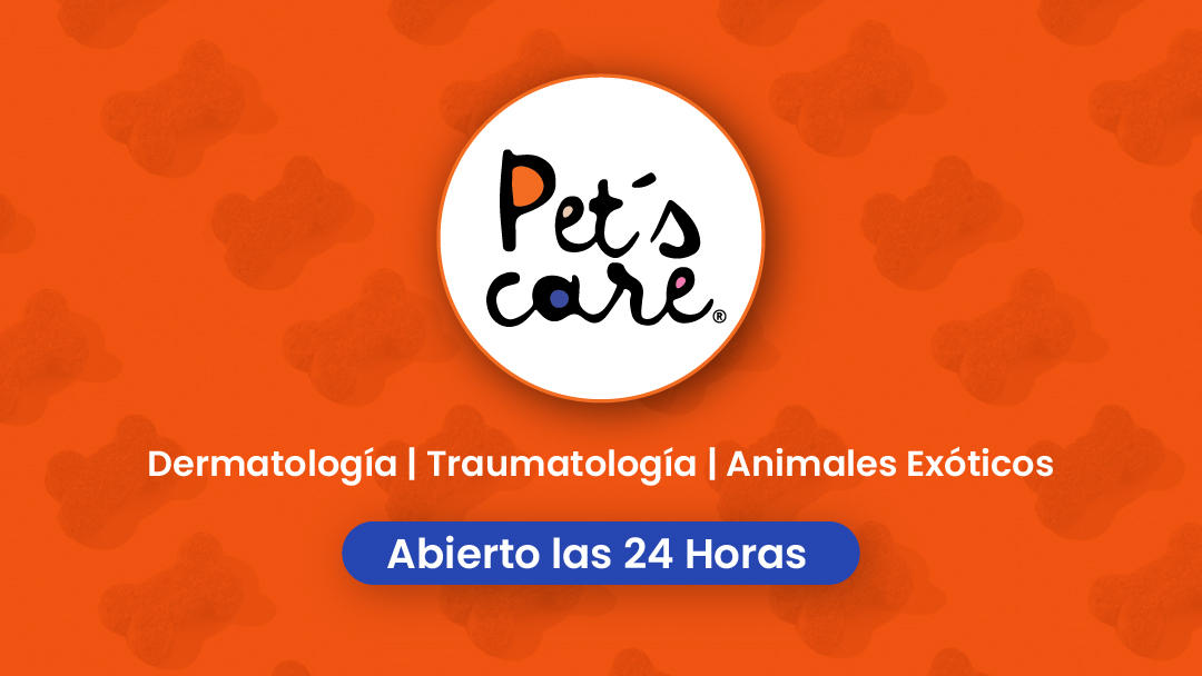 Pets Care Hospital Veterinario Dermatólogo Veterinario en Monterrey - Traumatólogo Veterinario en Monterrey.