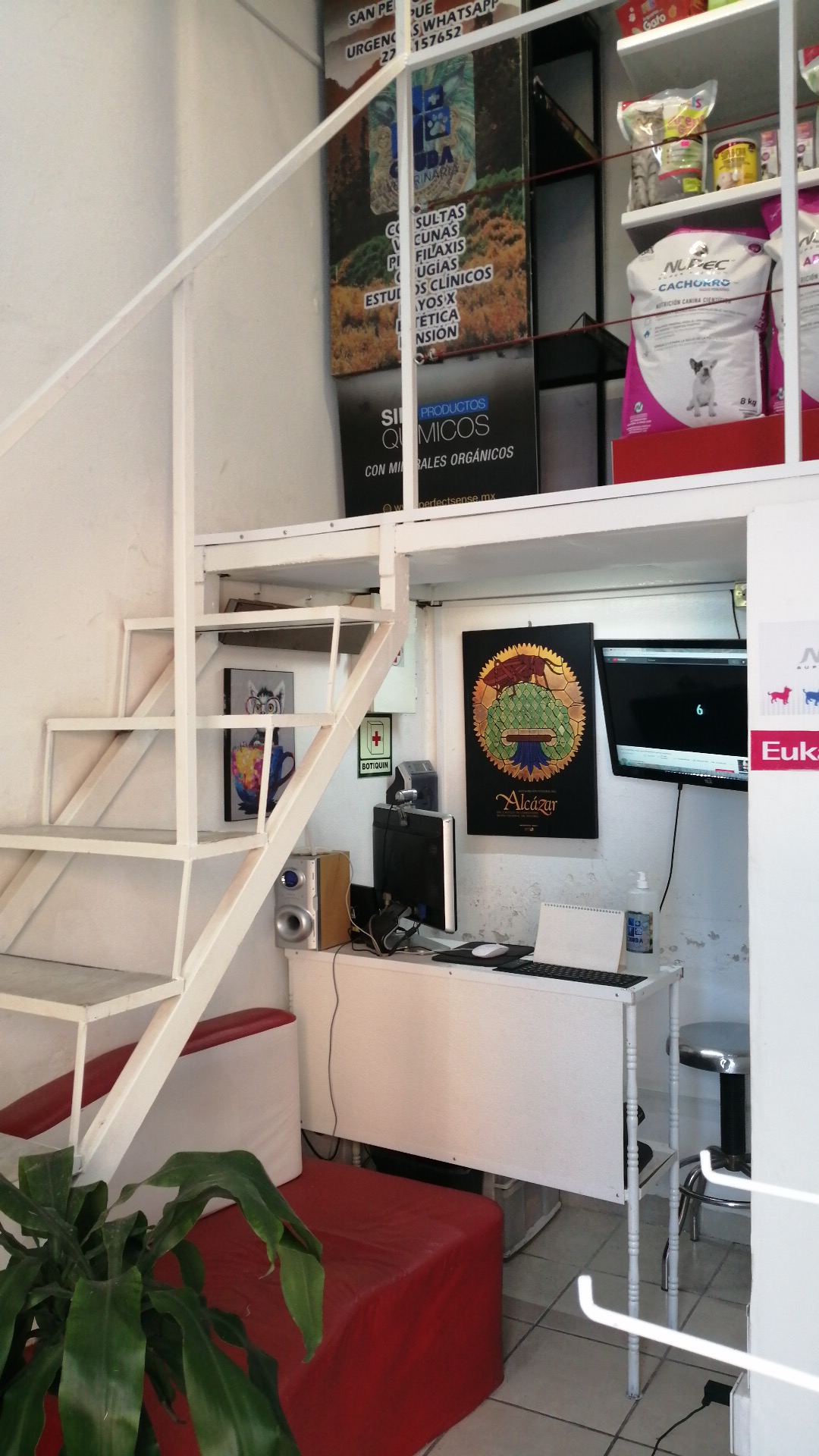 CHUBA Veterinaria — foto 2