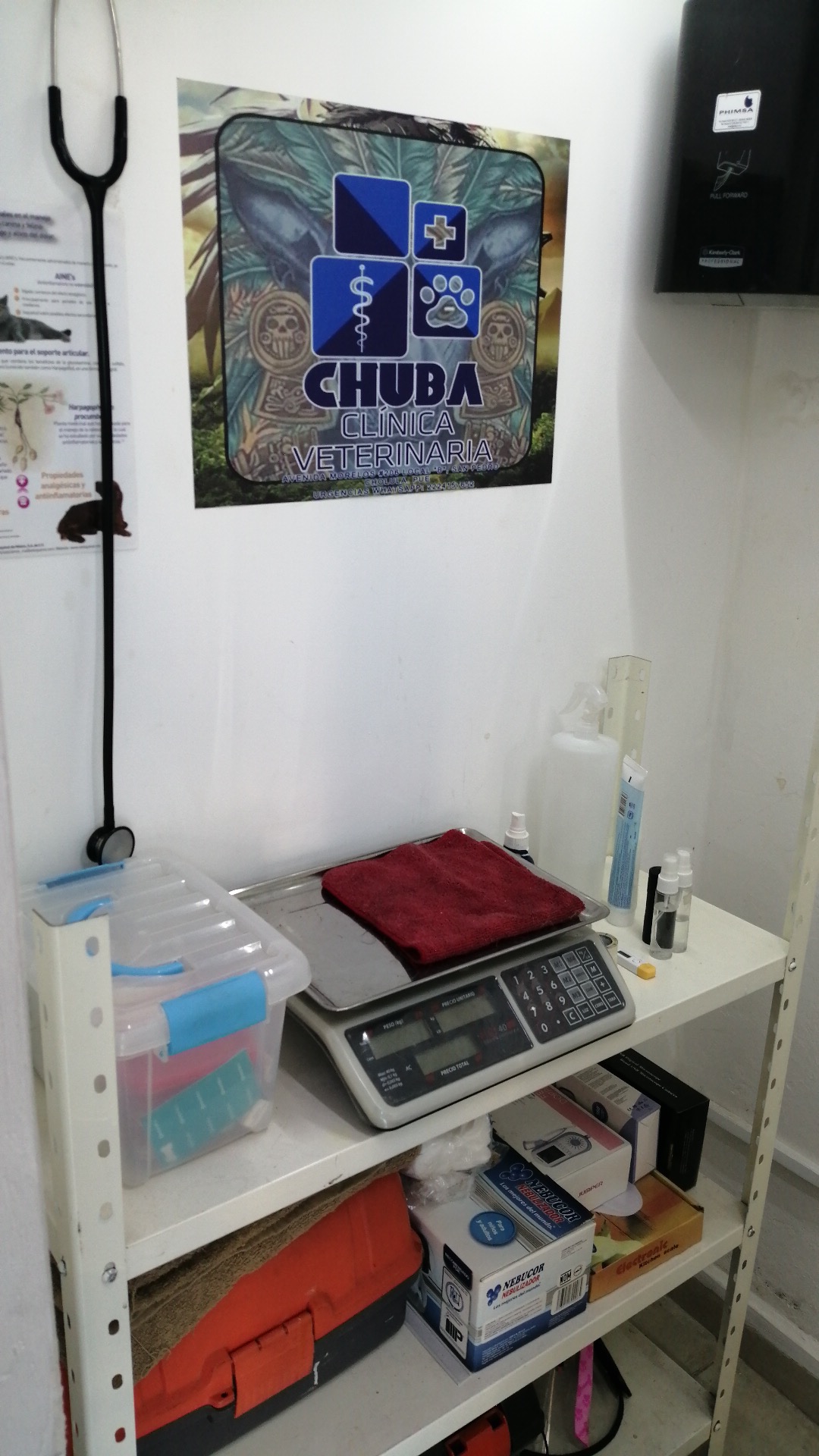 CHUBA Veterinaria — foto 4