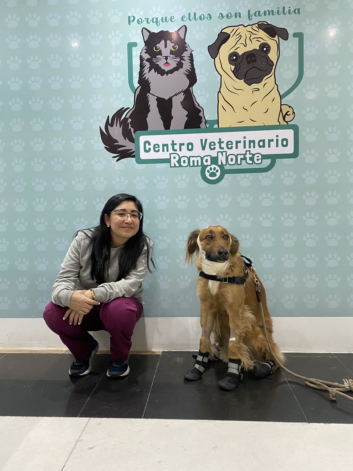 Centro Veterinario Roma Norte — foto 2