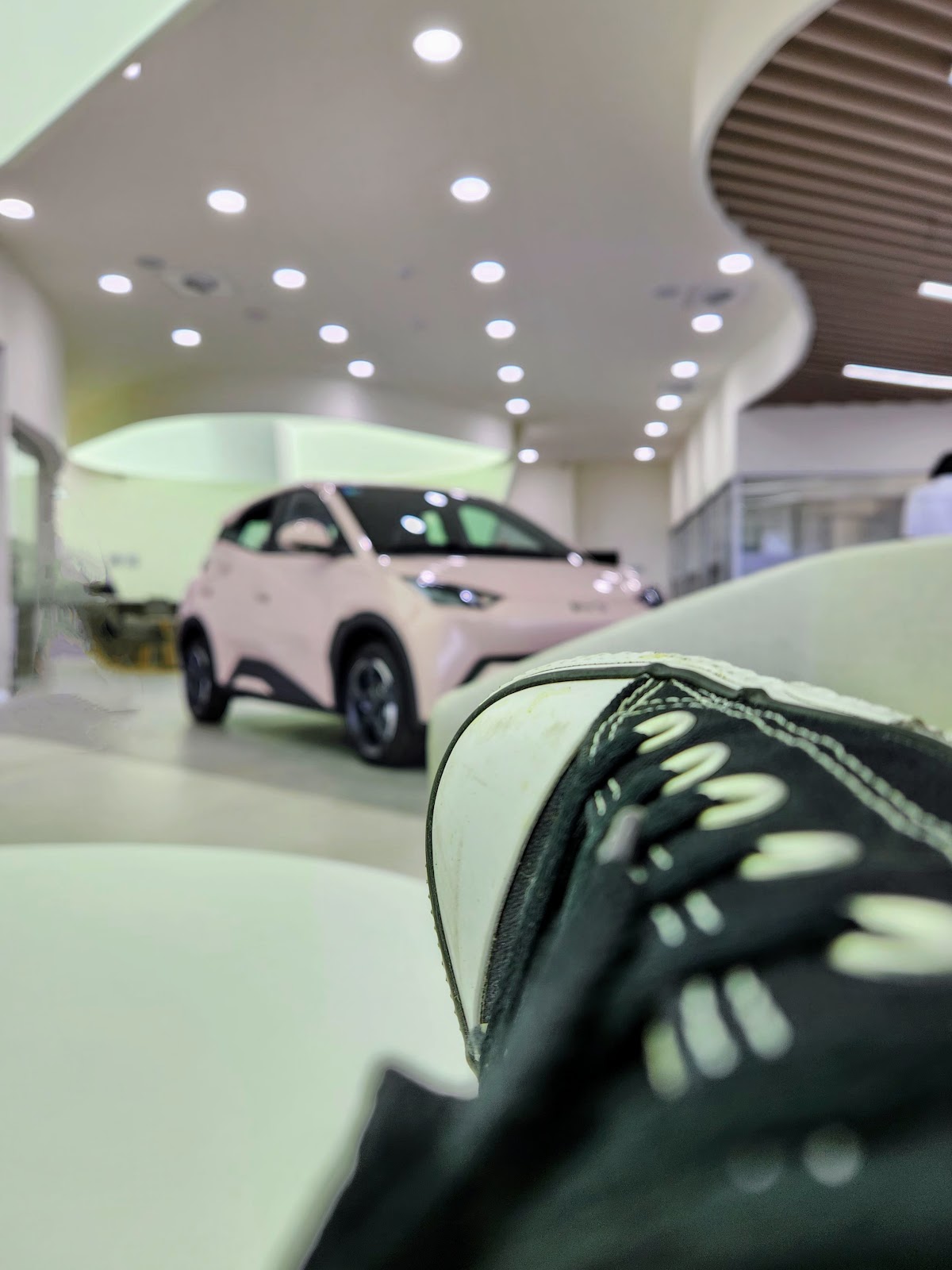 BYD Cumbres — foto 2