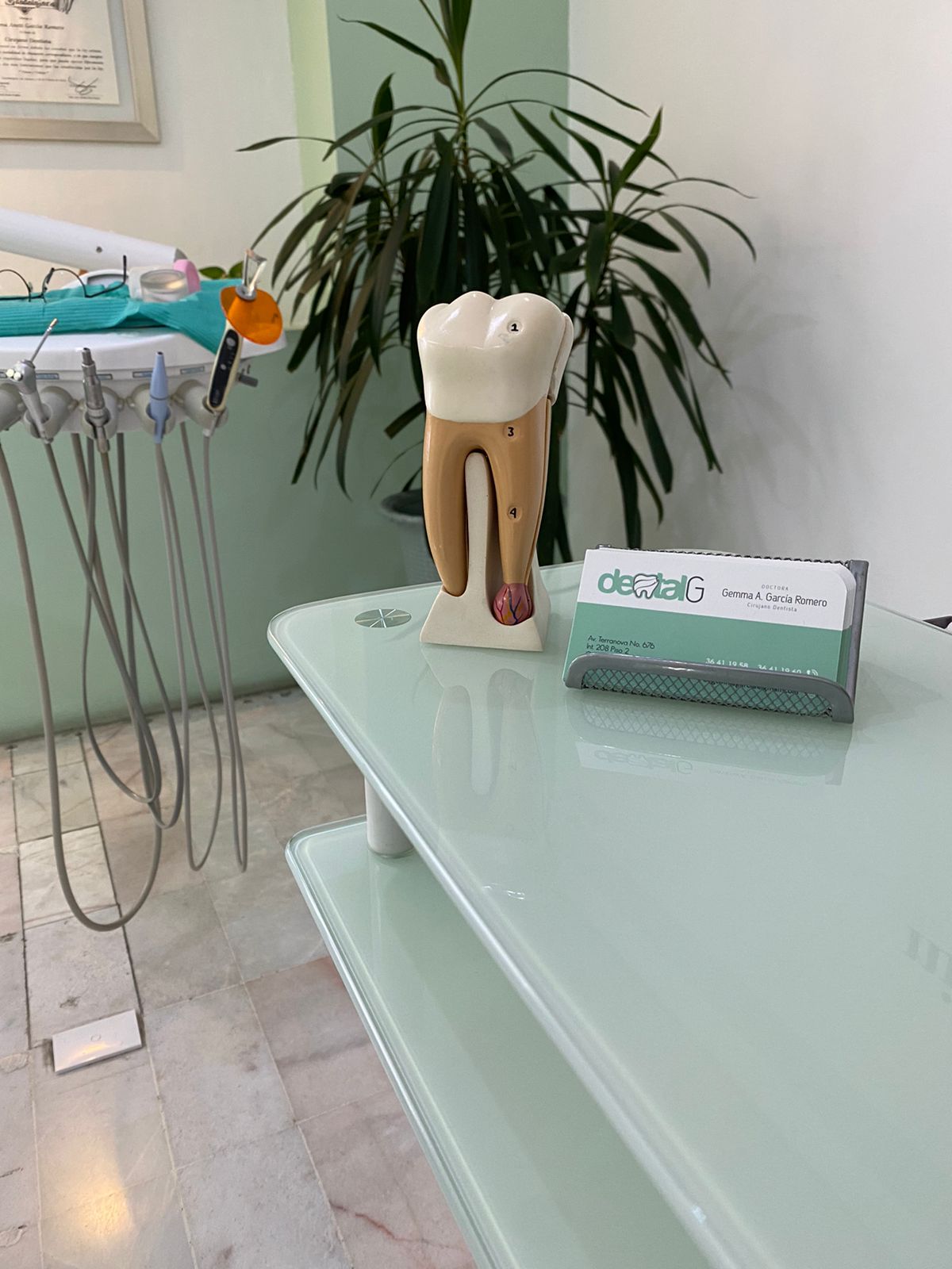ProSmile Dental Center — foto 4