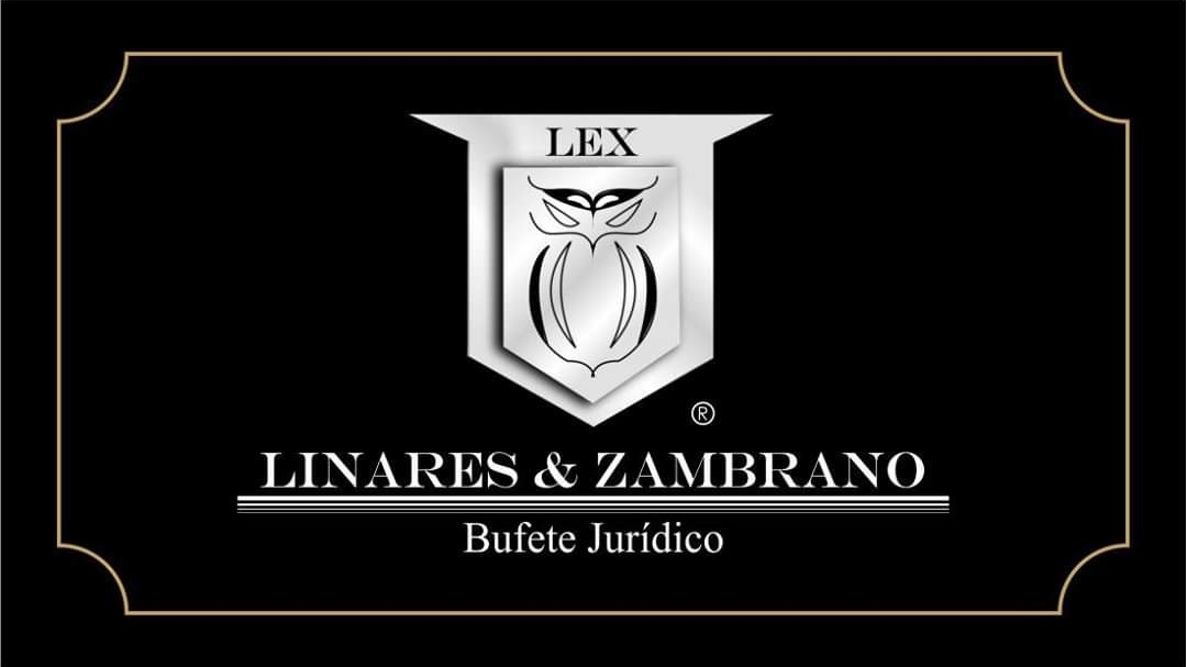Linares y Zambrano Jurídico Laboral y Familiar CDMX — foto 4