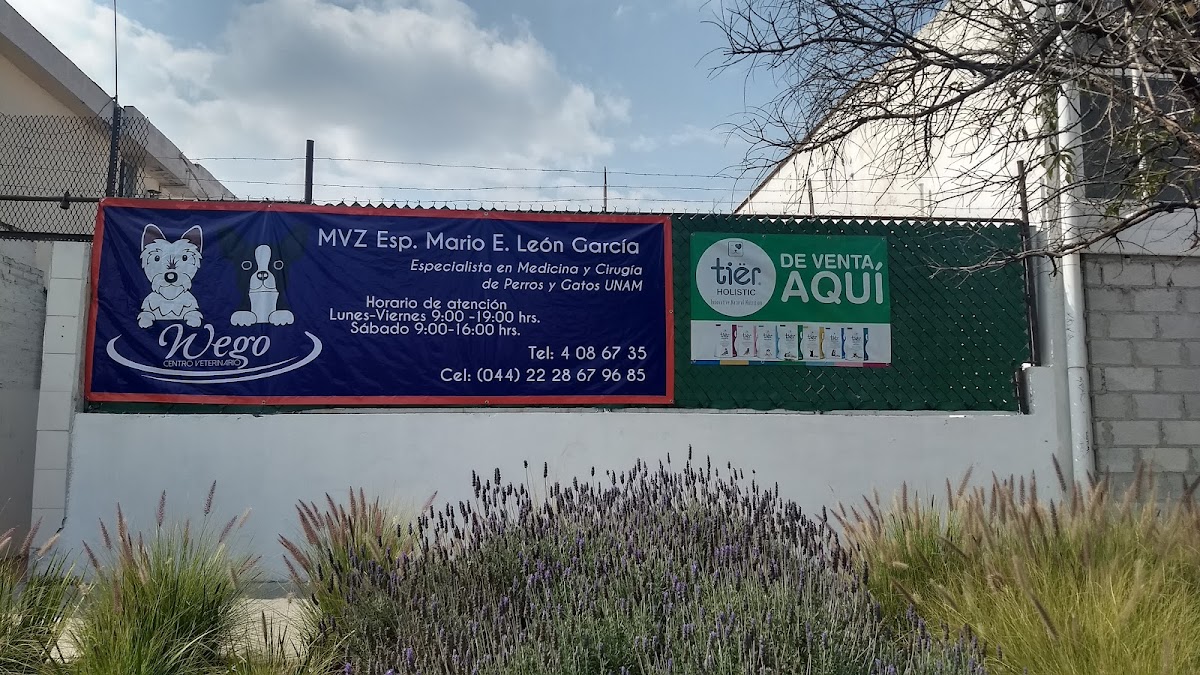 Centro Veterinario Wego — foto 2