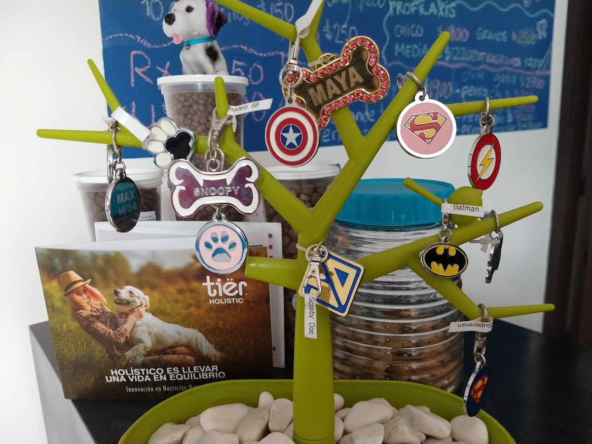 Centro Veterinario Wego — foto 4