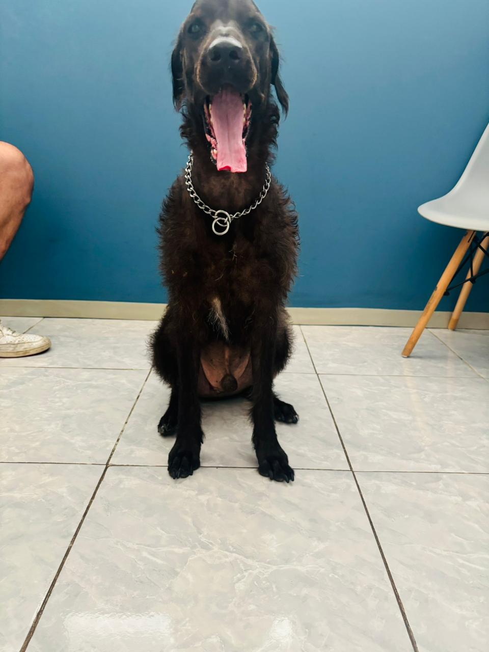 Veterinaria de Especialidades Kun — foto 2