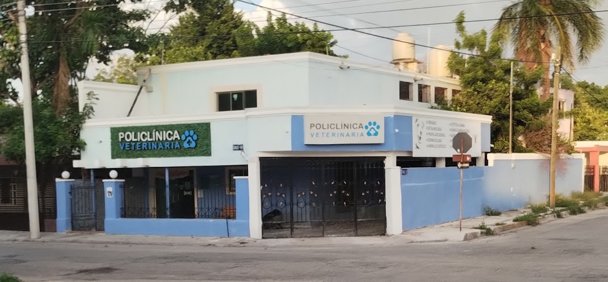 POLICLÍNICA VETERINARIA