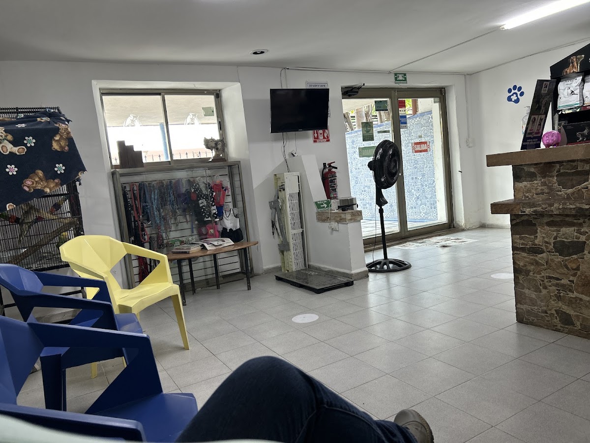 POLICLÍNICA VETERINARIA — foto 4