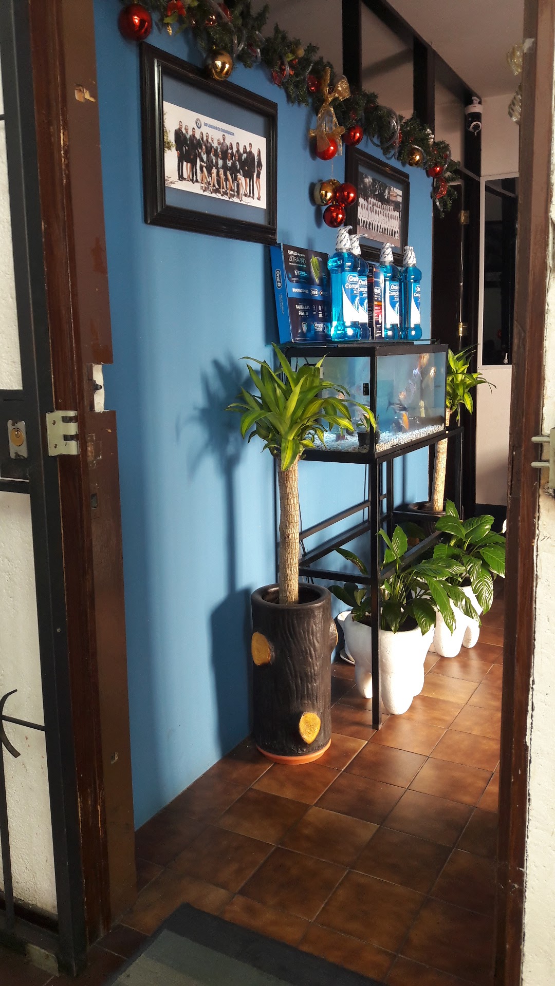 Cio-dent Centro Integral Odontologico — foto 3