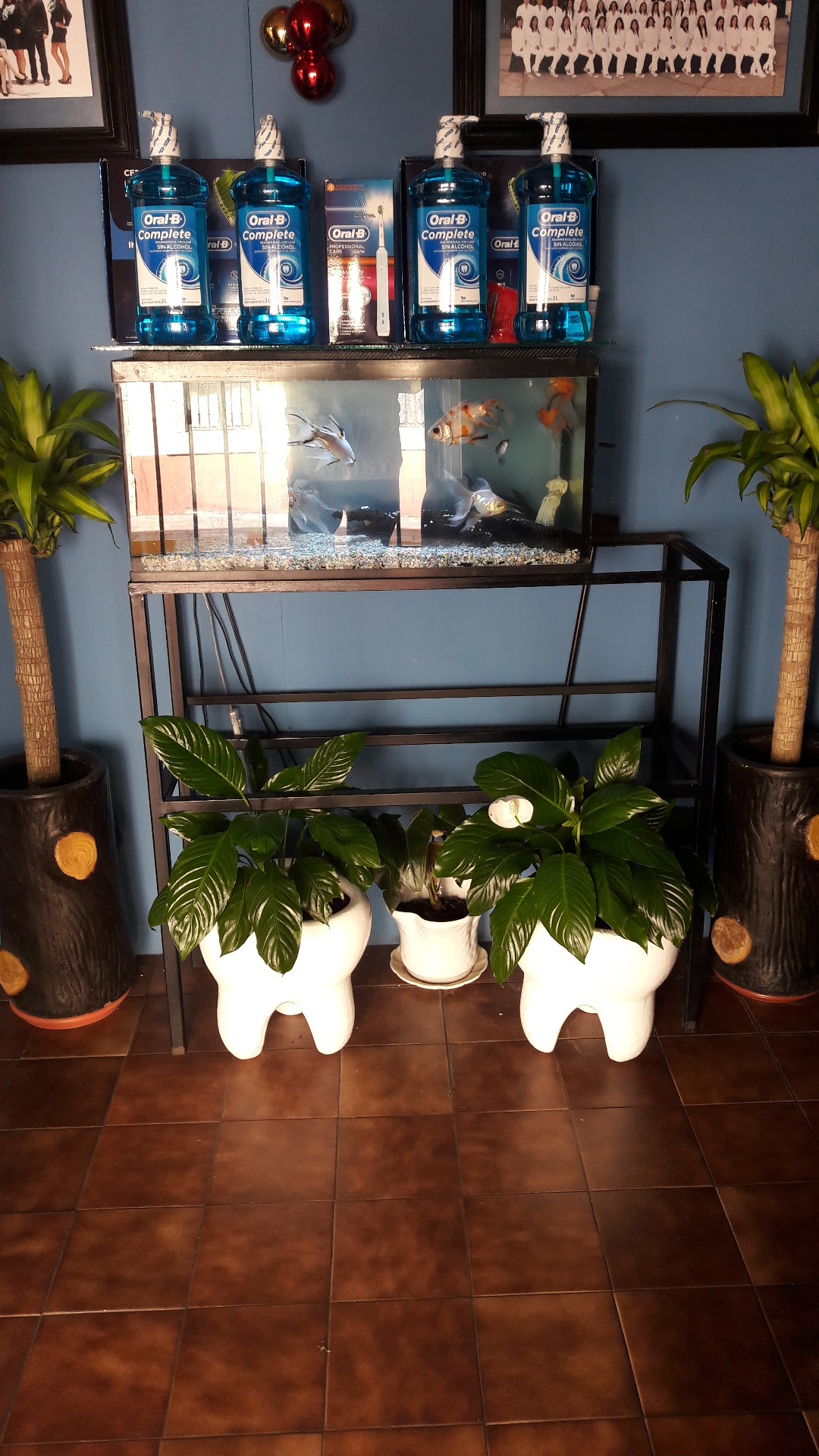 Cio-dent Centro Integral Odontologico — foto 4