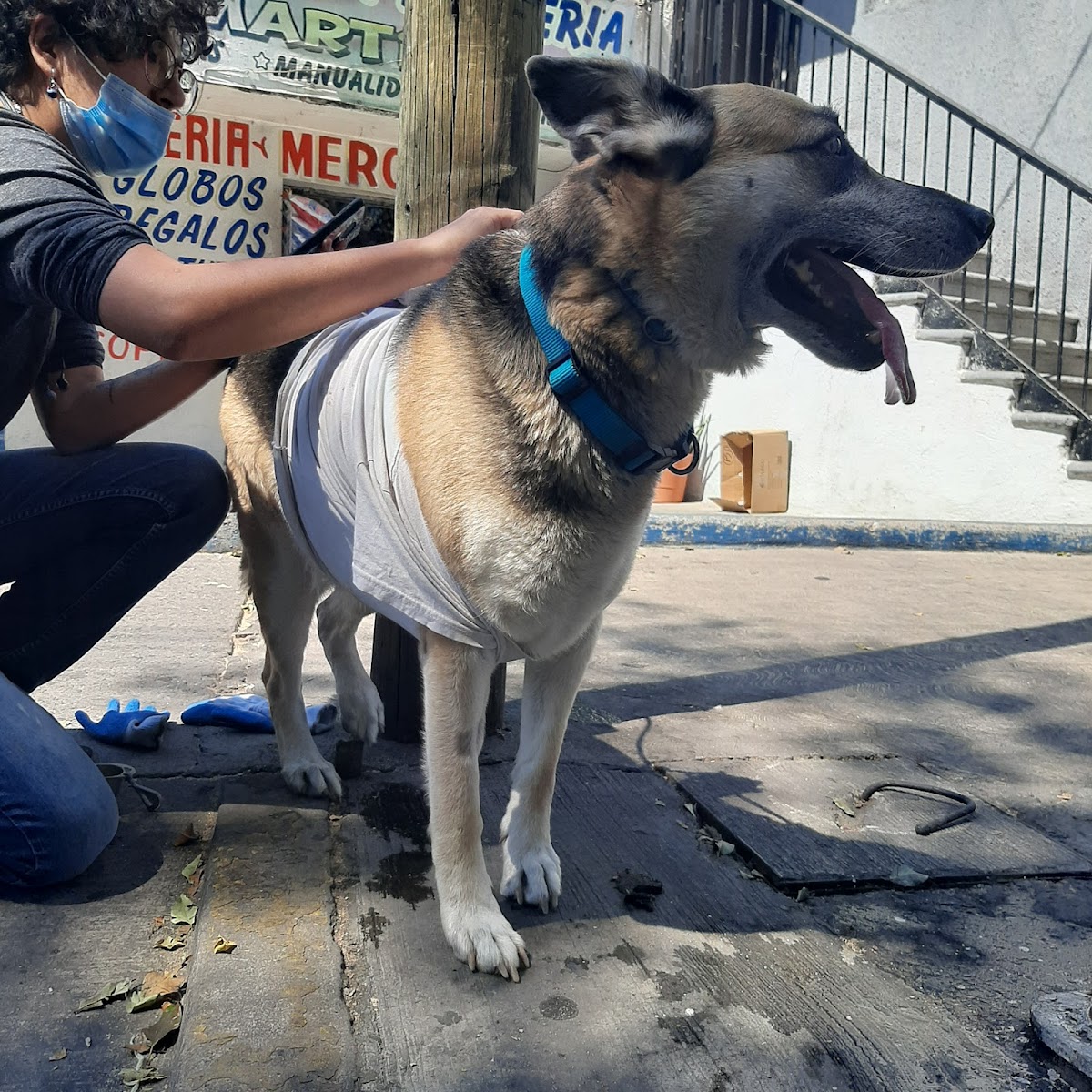 The Animal Health Center — foto 3