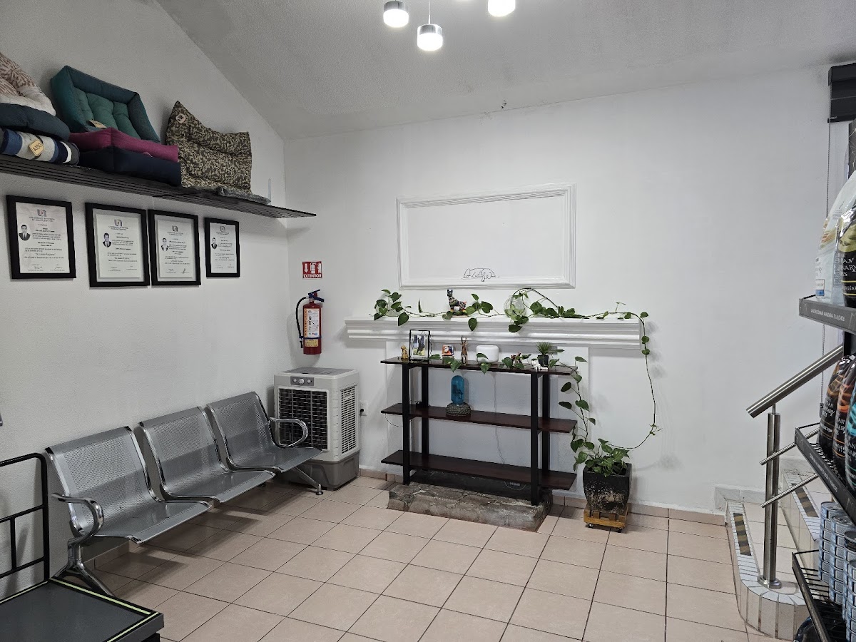 Clínica Veterinaria Balam Ags. — foto 3