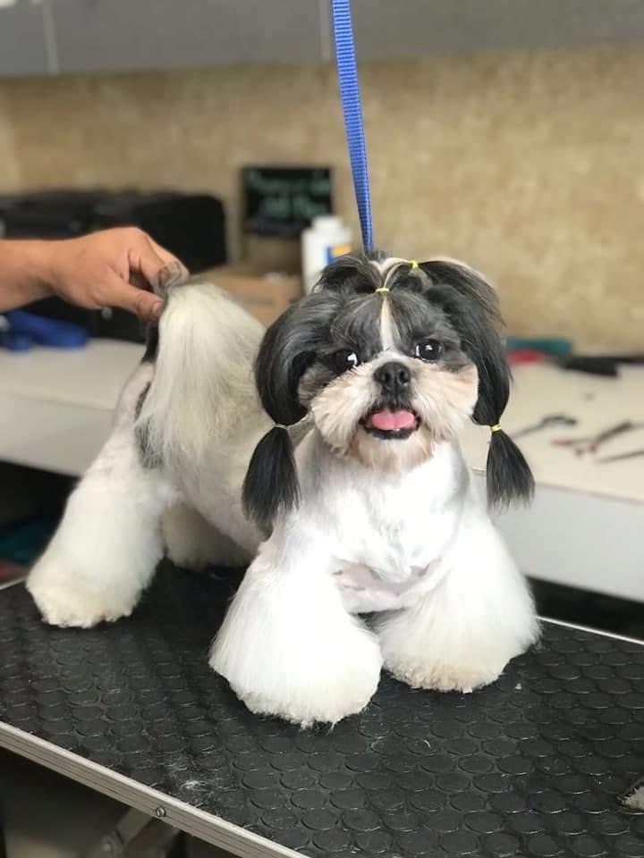 Veterinaria Arimal — foto 2