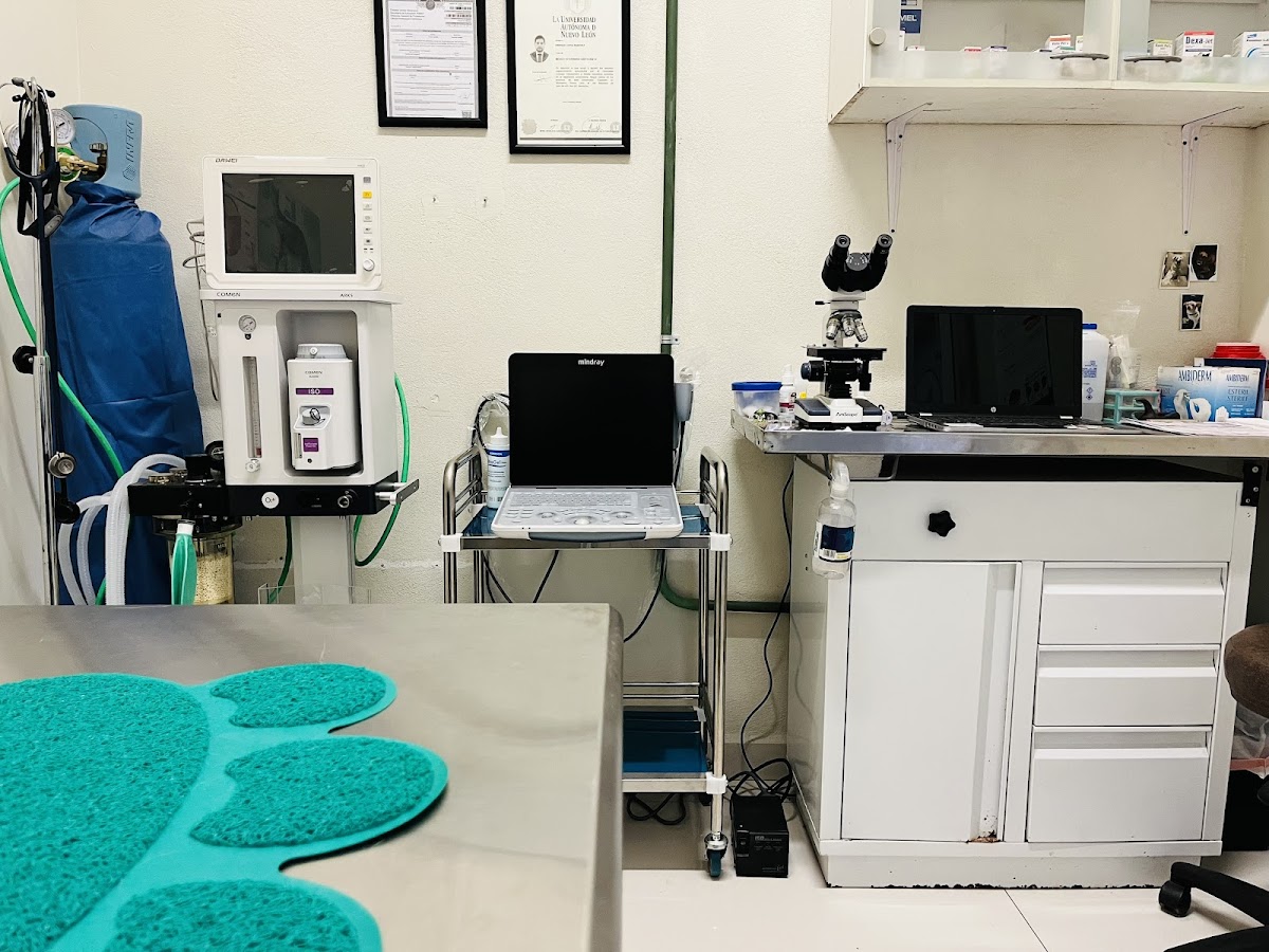 Veterinaria Arimal — foto 4
