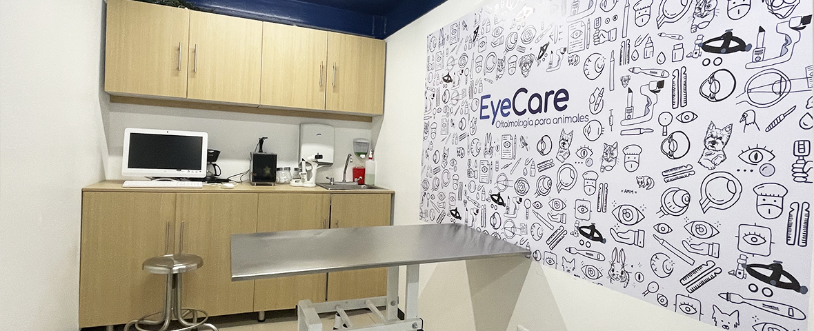 Hospital de Oftalmología Veterinaria EyeCare Polanco — foto 4