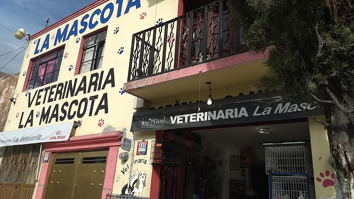 Veterinaria La Mascota — foto 2