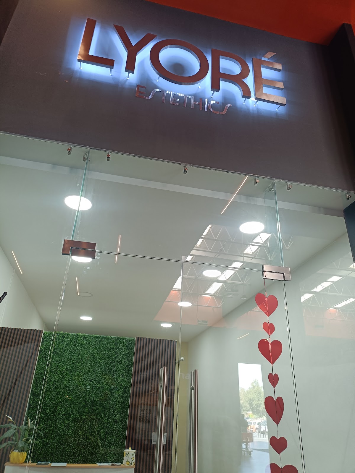 Centro de depilación laser y clinica de belleza "Lyore Esthetics" — foto 2