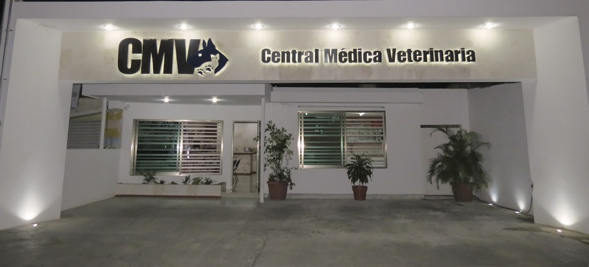 CENTRAL MÉDICA VETERINARIA