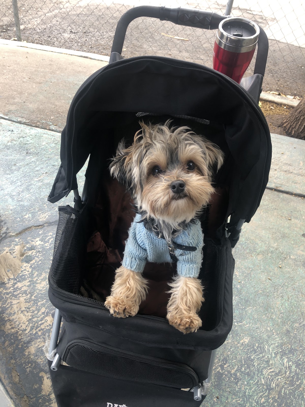Clínica Veterinaria Otay — foto 4