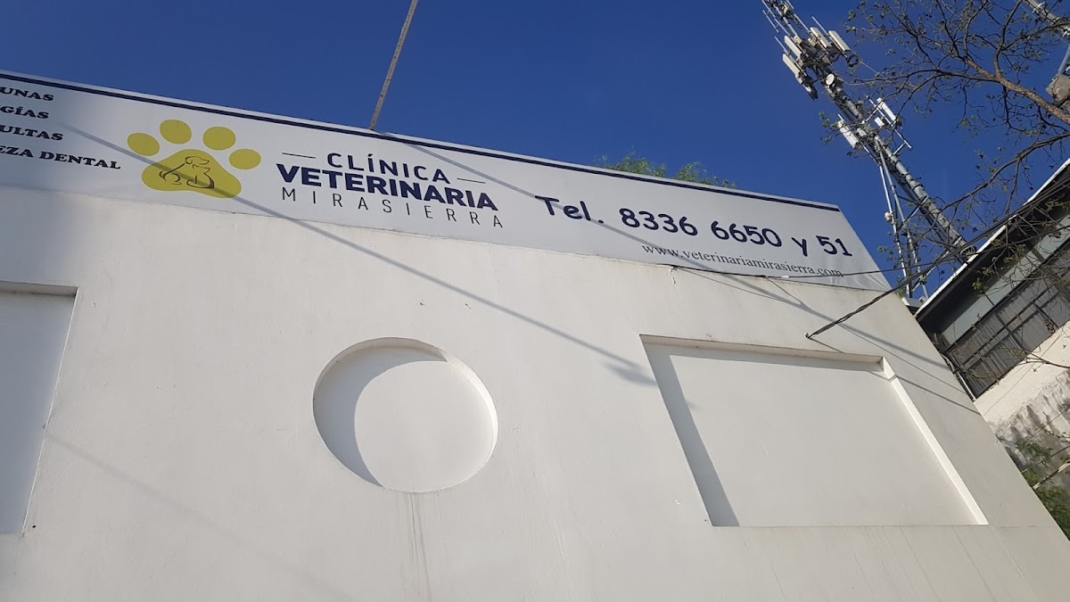 Clinica Veterinaria Mirasierra — foto 2