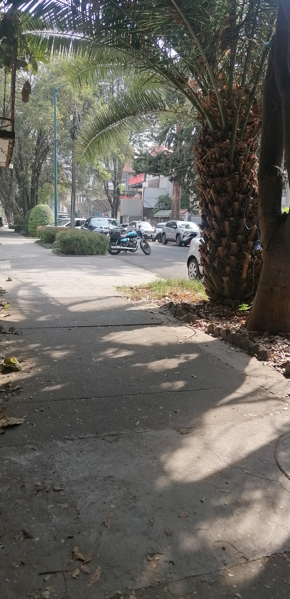 HLOM Notarías — foto 2