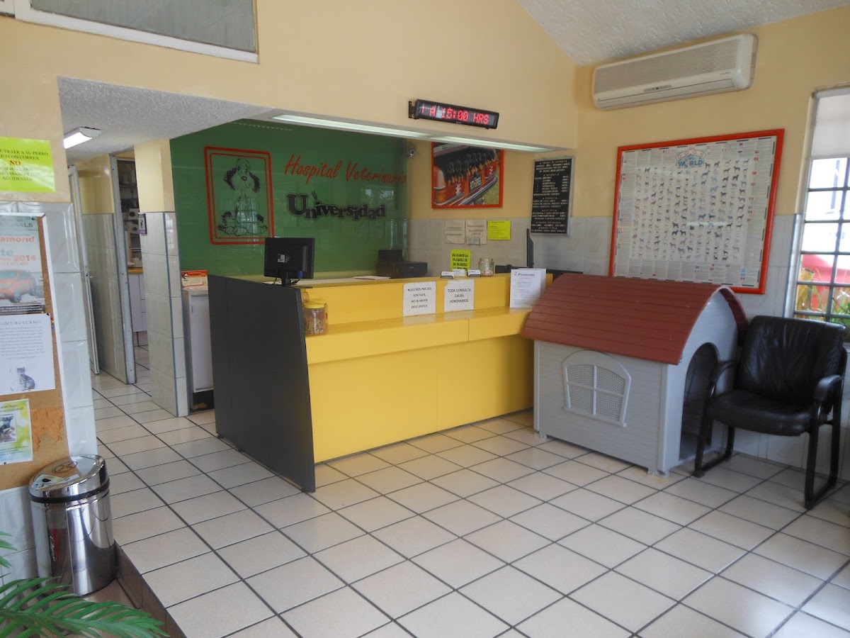 Hospital Veterinario Universidad
