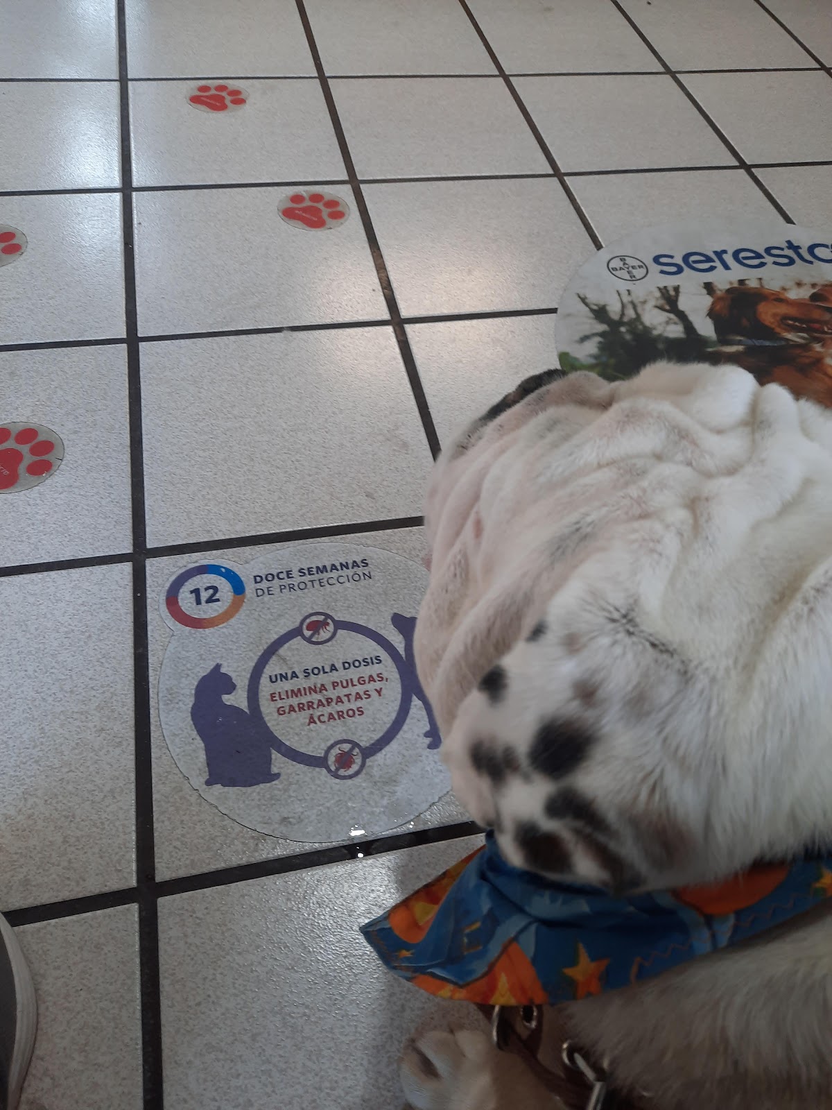 Hospital Veterinario Universidad — foto 3