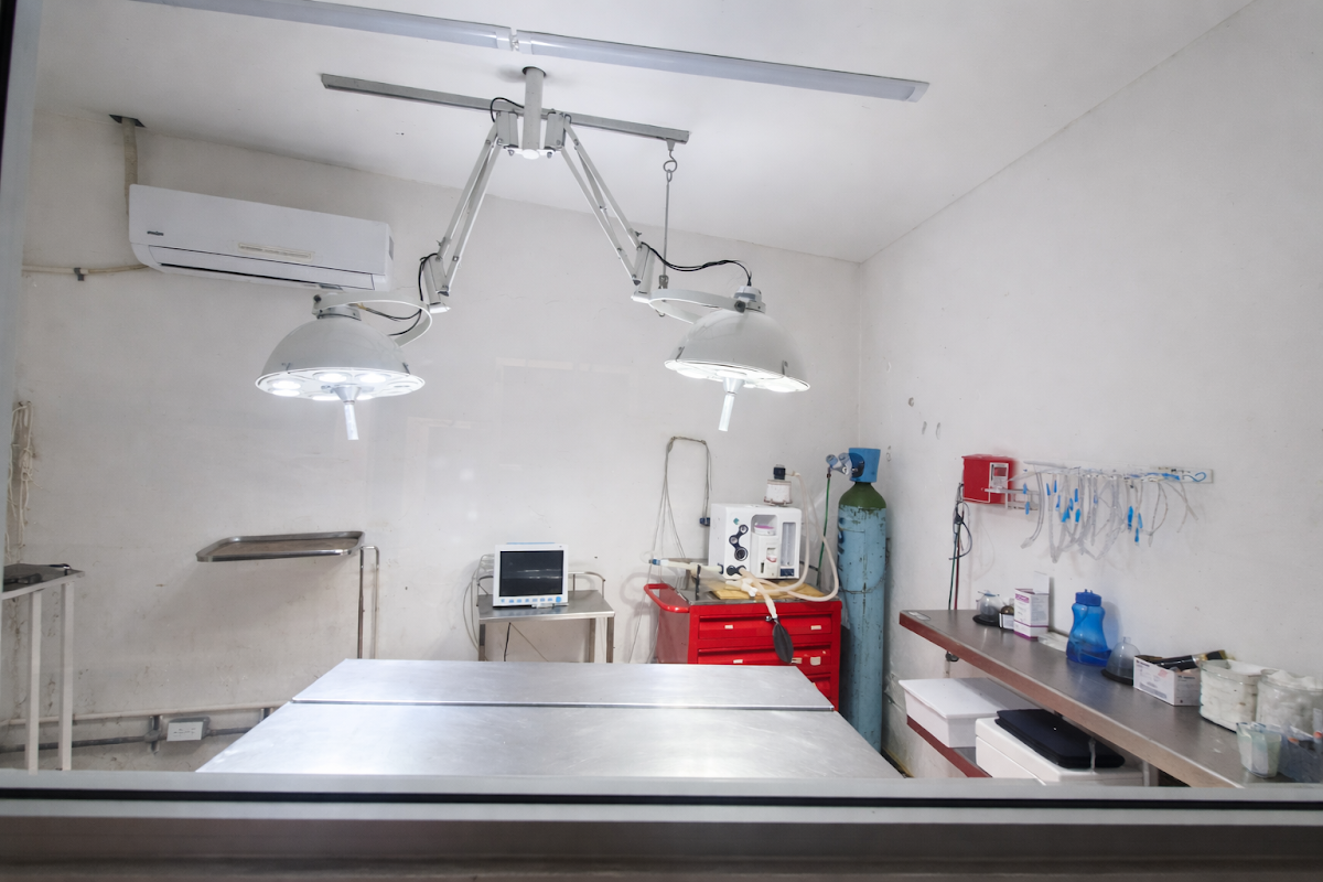 Hospital Veterinario Roma — foto 3