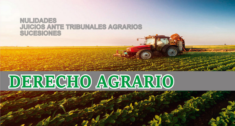 Abogados en Puebla Soriano & Asociados — foto 3