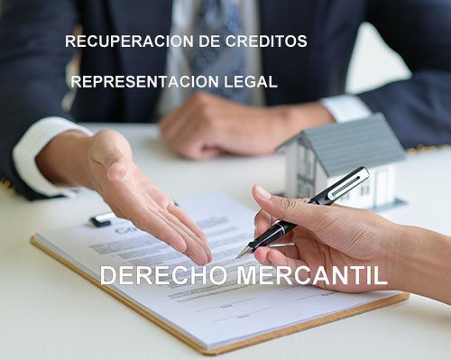 Abogados en Puebla Soriano & Asociados — foto 4