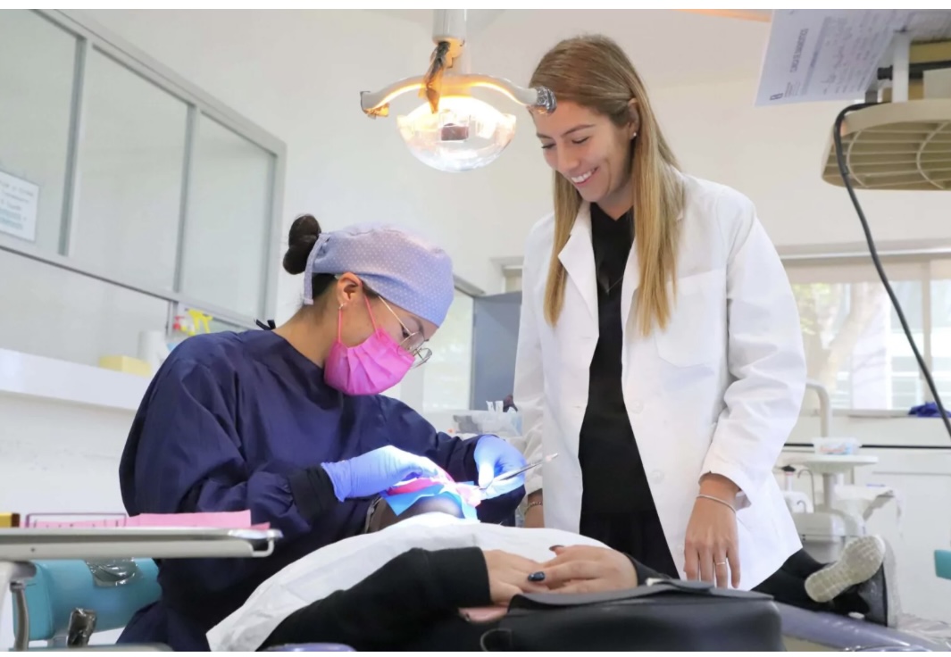 Endodoncista Joseline Marifer Castro Hernandez — foto 3