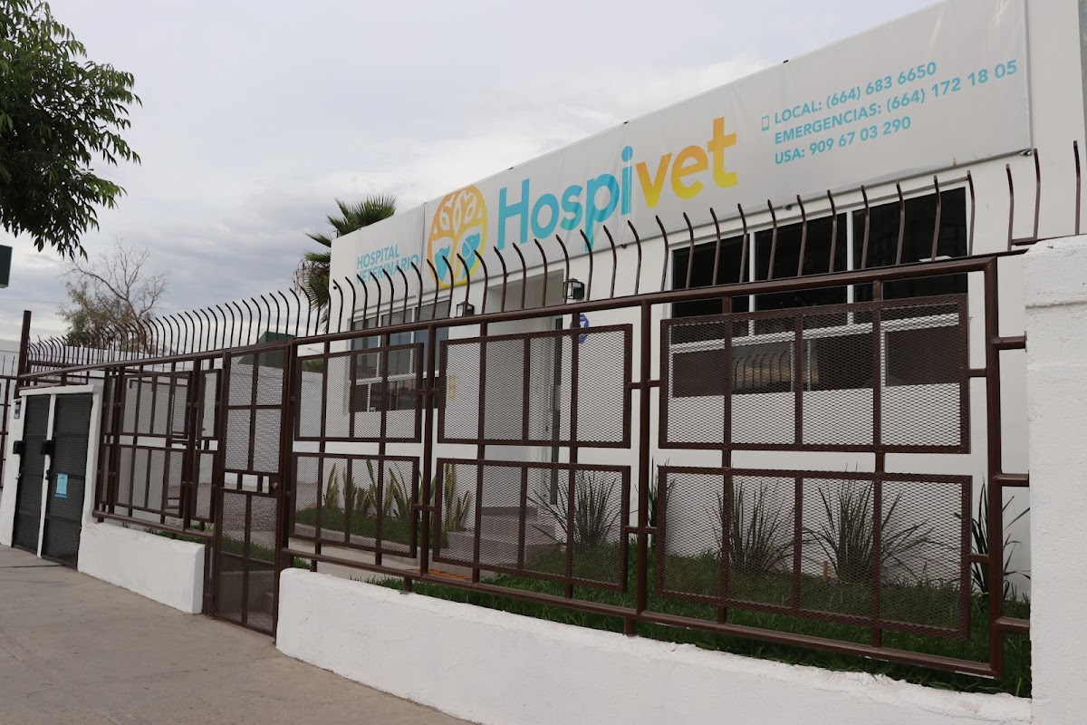Hospivet — foto 3