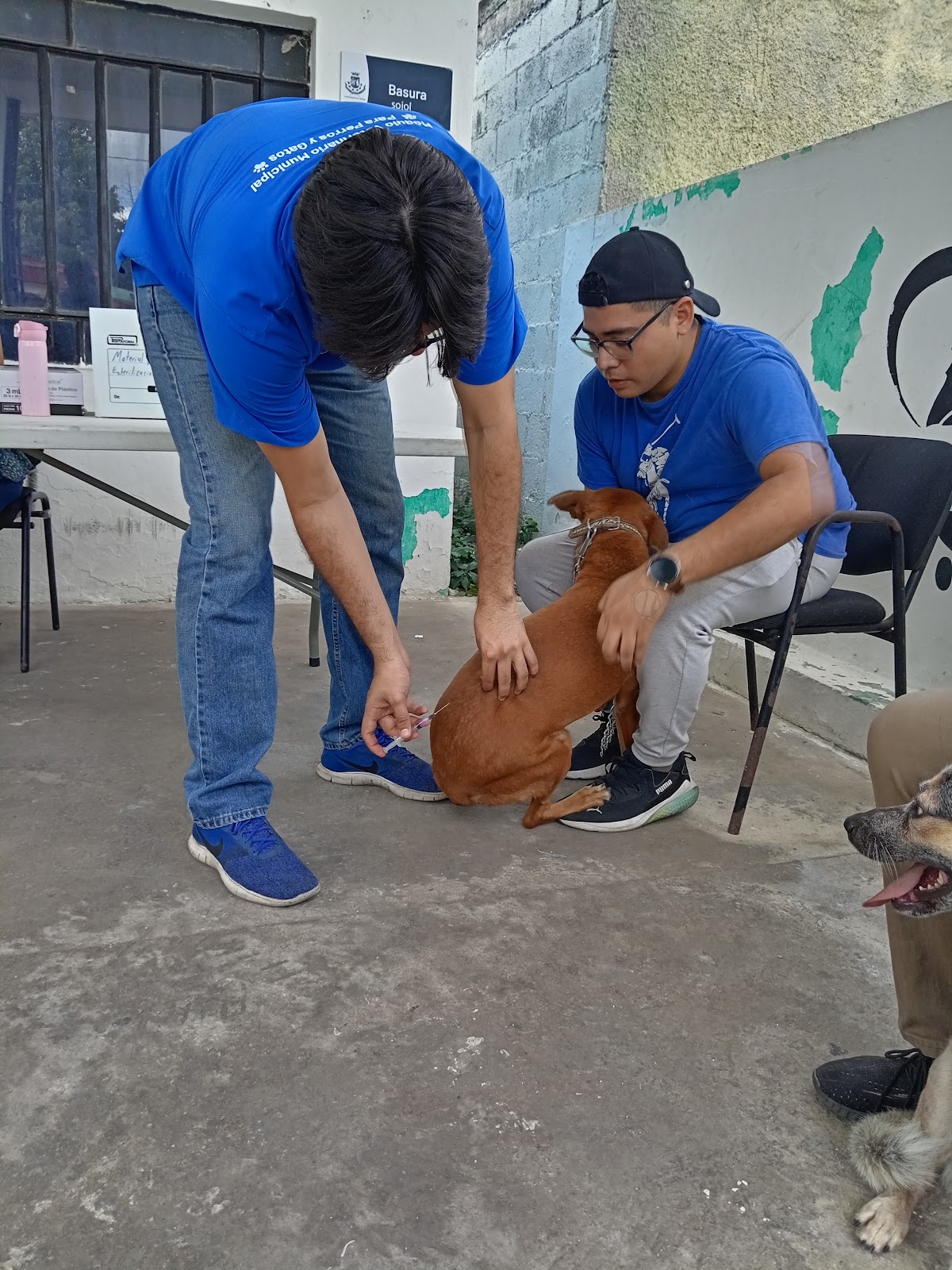 Módulo Veterinario Municipal Oriente — foto 3