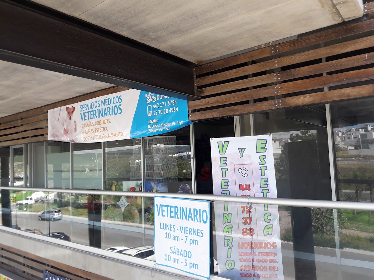 Servicios Médicos Veterinarios — foto 3