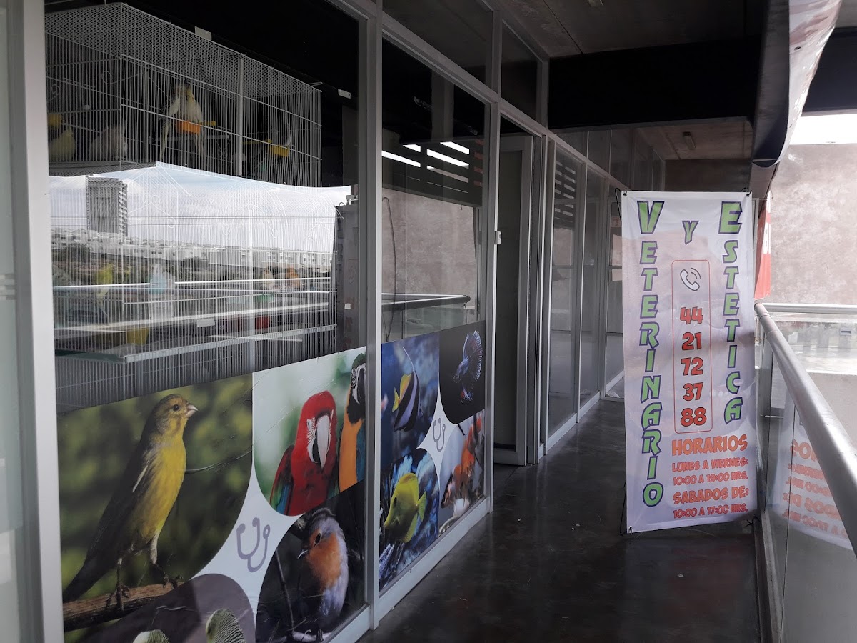 Servicios Médicos Veterinarios — foto 4
