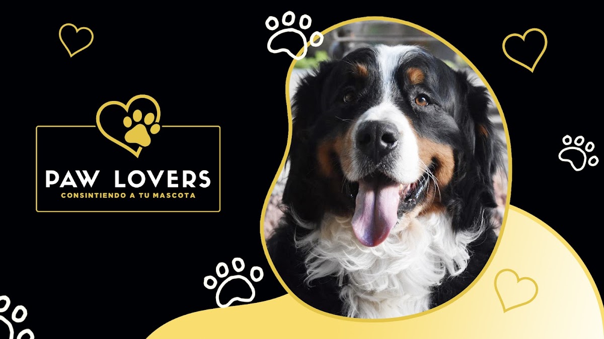 Paw Lovers Estética canina y consultorio veterinario — foto 3