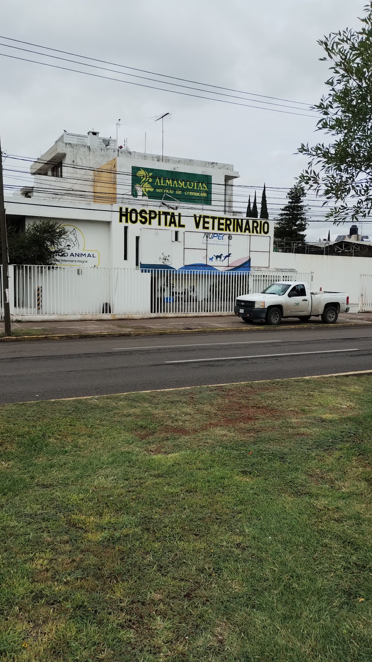 Servicio Veterinario MUNDO ANIMAL — foto 4