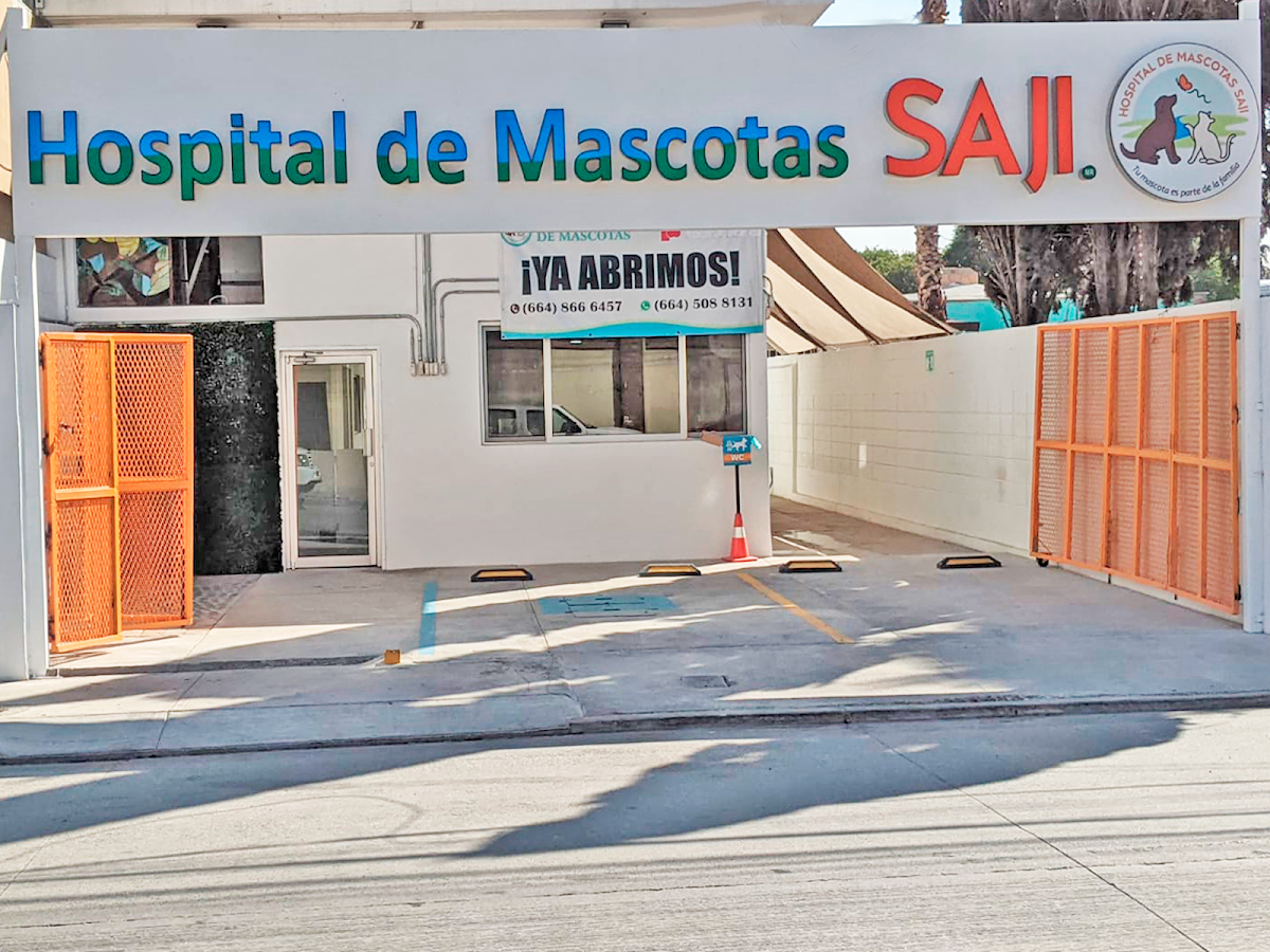 Hospital de Mascotas SAJI Gabilondo — foto 2