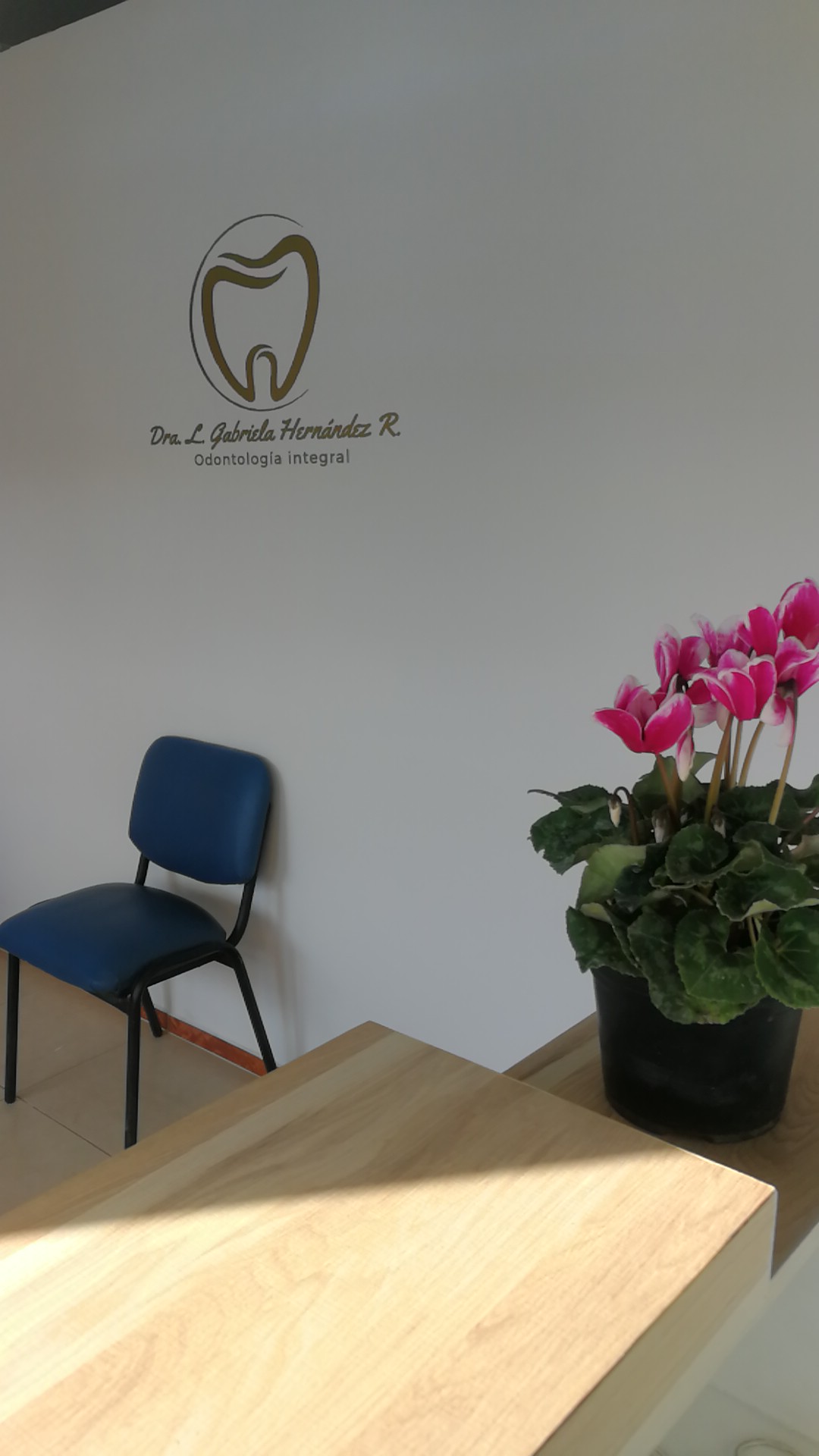 Dental HeRa Dra. Gabriela Hernández — foto 4